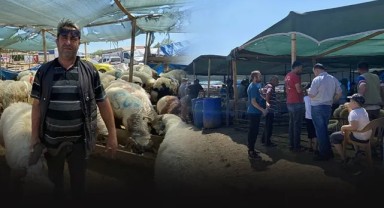 Gaziemir'de arife günü öncesi kurban telaşı... Satıcıların umutlu bekleyişi sürüyor