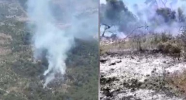 İzmir’de ormanlık alanda çıkan yangına müdahale ediliyor