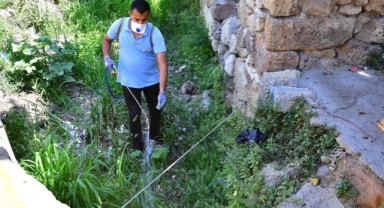 İzmir’de sivrisineklere karşı etkin mücadele
