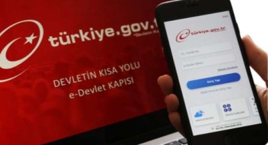 Son Dakika: e-Devlet verileri çalındı! TC kimlik numaraları bile gözüküyor...