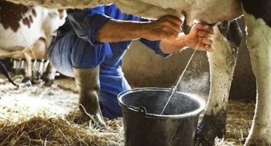 Süt üretimi nisanda azaldı
