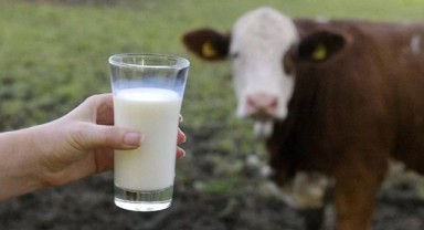 Süt üretiminin devamlılığı için ‘tedbir ve destek’ uyarısı