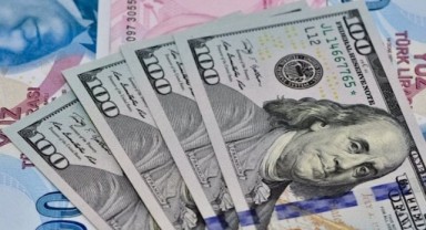 TL’de değer kaybı devam ediyor!
