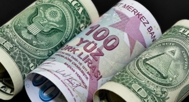 Türk Lirası'nda 1 ayda yüzde 30 değer kaybı!