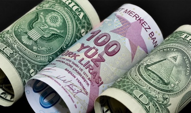 Türk Lirası'nda 1 ayda yüzde 30 değer kaybı!