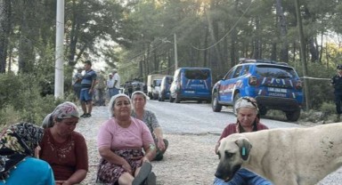 Akbelen Ormanı'na sabaha karşı baskın: 'Çamları kesmeye başladılar!'
