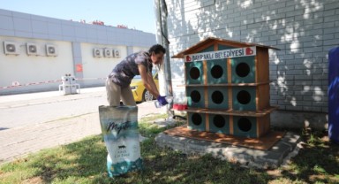 Bayraklı’da can dostlar için 'bir kap su' kampanyası