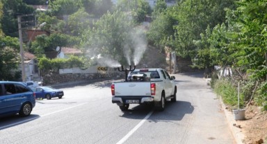 Bayraklı’da ‘ilaçlama’ seferberliği