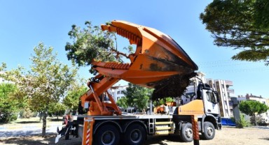 Buca’da Metrosu’nda istasyon inşaatları öncesinde ağaçlar geçici olarak taşınıyor
