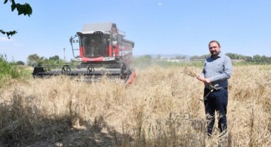Çiğli Belediyesi'nden Örnek Tarım Uygulaması: İlk Defa Belediye Arazisinde Buğday Hasadına Başlandı