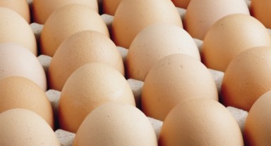 Egeli ihracatçılardan 'yumurta' açıklaması