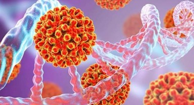 Hepatit B ve C’ye baktırdınız mı? Aşı büyük şans