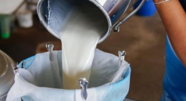 İçme sütü üretimi bir yılda yüzde 11 geriledi