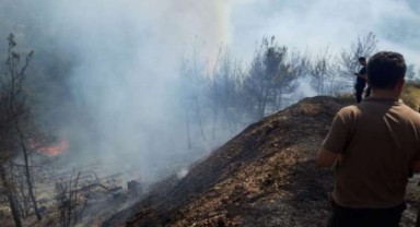 İzmir'de iki orman yangını birden