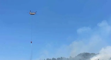 İzmir'de zeytinlik alanda yangın!