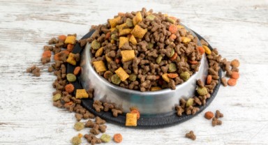 Kedi-köpek maması ihracatında hedef 100 milyon dolar