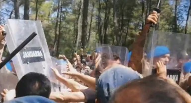 Kömür şirketine karşı ağaçlarını koruyan halka jandarmadan saldırı