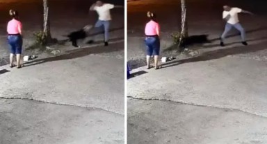 Sakarya'da vahşet! Bağlı köpeği 14 kurşunla öldürdü