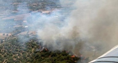 Sıcaklık rekoru kıran İzmir'de iki ilçede orman yangını