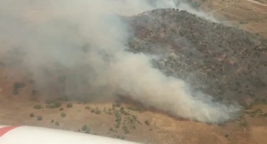 Tarladaki yangın ormana sıçradı: İzmir'de korkutan orman yangını!