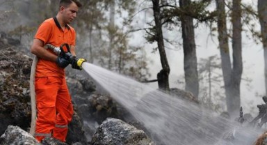 5 şehirde orman yangınları karadan ve havadan müdahale ediliyor
