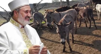 Ankara Müftüsü neden Eşek eti helaldir fetvası verdi? Eşek eti satışının önü mü açılıyor?