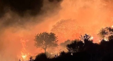 Balıkesir Marmara Adası'nda makilik alanda yangın çıktı