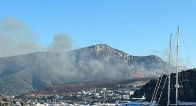 Bodrum'da makilik alanda yangın çıktı