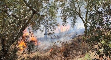 Bursa’da peş peşe yangınlar çıktı