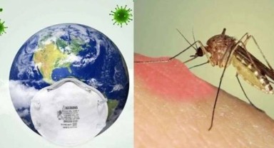 Dang belirtileri neler? İşte dang humması belirtileri ve bulaşma yolları