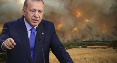 Erdoğan: Çanakkale'deki orman yangınının yayılması durduruldu