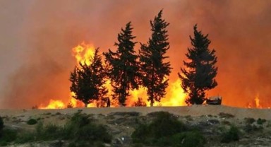 Eskişehir'de üç ayrı noktada orman yangını