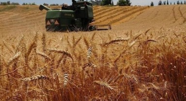 Hindistan enflasyonu düşürmek için Rusya’dan ucuz buğday ithal edecek