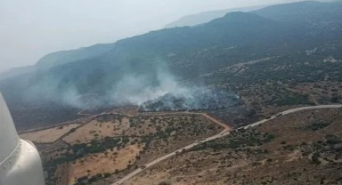 İzmir’de orman yangını