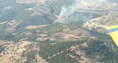 İzmir'de orman yangını çıktı