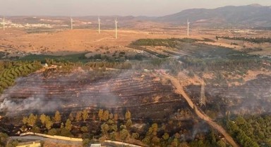 İzmir'in Aliağa ilçesinde orman yangını