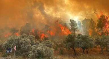 O il için orman yangını uyarısı yapıldı