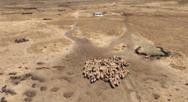 Önlem çağrıları sürüyor: Afet boyutuna ulaştı, seferberlik şart