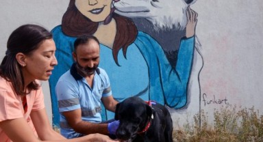 İzmir Büyükşehir Belediyesi can dostlar için üretiyor