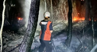 İzmir’de ormanlık alanda yangın