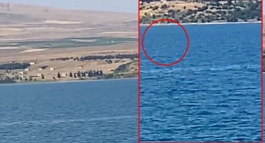Van Gölü Canavarı iddiaları yeniden gündemde! Piknikçilerin çektiği görüntüler olay oldu: Sırtı tırtıklı, çok hızlı hareket ediyor