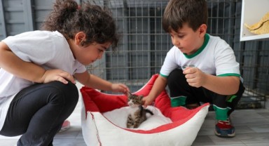 Buca Belediyesi miniklere hayvan sevgisi aşılıyor