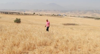 Hububatta destekleme primleri yetersiz kaldı