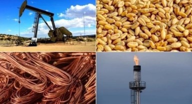 Emtia piyasası geçen hafta karışık seyretti