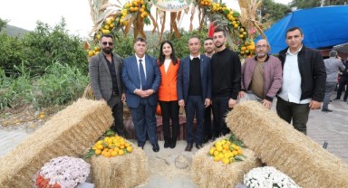 Mandalina Festivali Coşkuyla Gerçekleşti