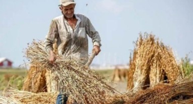 Çiftçileri ilgilendiriyor! Başvurular için son gün yaklaşıyor