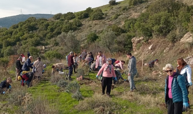 Bornova Belediyesi’nden arıcılara lavanta desteği