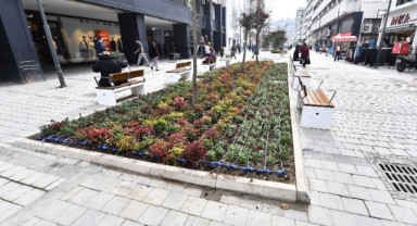 Milli Kütüphane Caddesi çiçek açtı