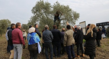 Yaşam Köyü Toprak Okulu'ndaki Zeytin Budama Eğitimine Çiftçilerden Büyük İlgi