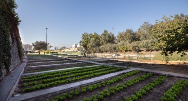 Karşıyaka’da bostanlar artıyor, kentsel tarım güçleniyor!
